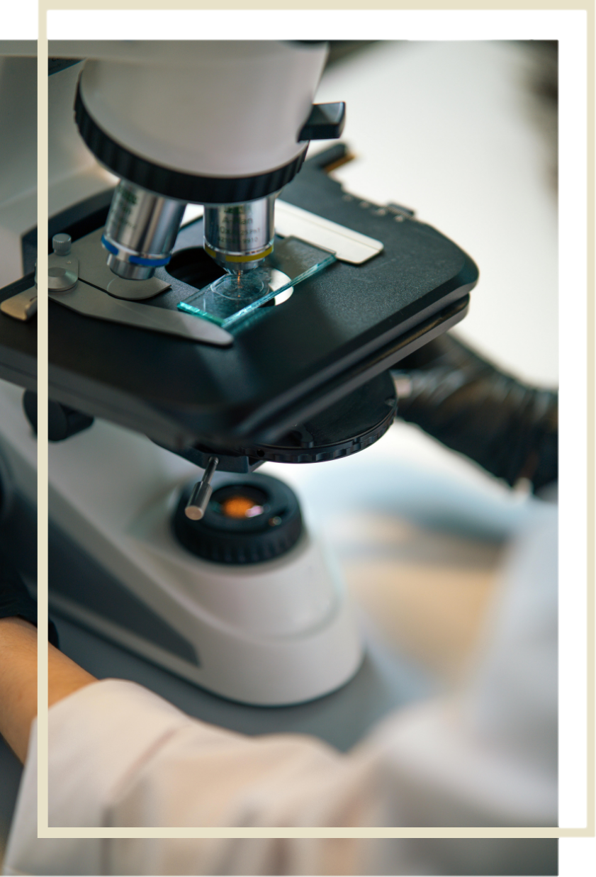 Tyrimai — placeholder